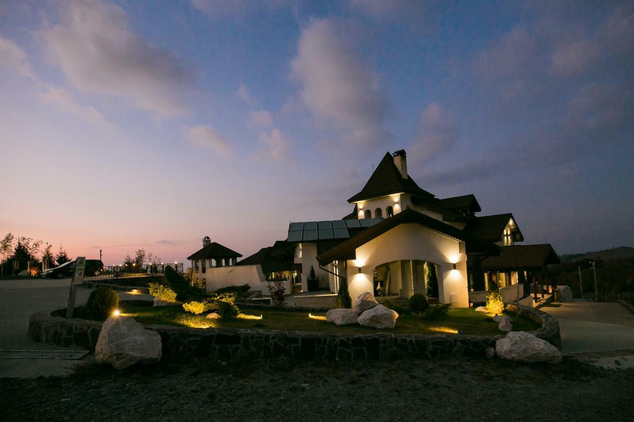 Castelnor Hotel Păltiniş Exterior foto